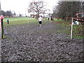 Mud in Maryhill Park