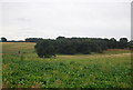 Countryside near Wherstead