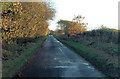 SZ3496 : Shotts Lane beside Shotts Copse by Stuart Logan