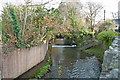 Looking up a stream from Mill Road