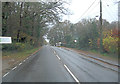 A336 north of Petlake Farm