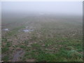 Farmland off Northallerton Road