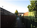 A path leading to Yeadon Garth