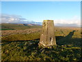 SK1380 : Trig point on Bradwell Moor by Graham Hogg
