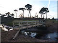 NT6478 : Coastal East Lothian : The New (2012) Footbridge Over The Hedderwick Burn by Richard West