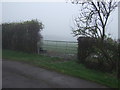 Field entrance, Sunnyside Farm