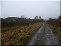 Old track below old mine workings at Castle Wood, Talywain