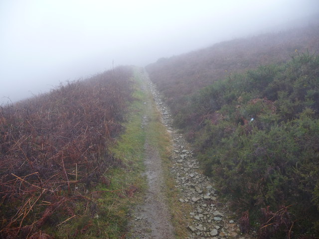 Upland path in Cwm Sychan in November