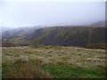 Old tips above Abersychan