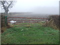 Field entrance near Staindale Grange