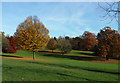 Autumnal park, Norwood Grove (2)