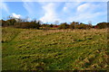 Path on Shawford Down