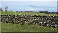 NZ0714 : Fields with dry stone wall and stile by Trevor Littlewood