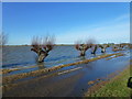 TL2798 : Flood water crossing the road, Whittlesey Wash - The Nene Washes by Richard Humphrey