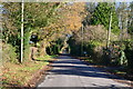 Sunlight and shadows on Alton Lane