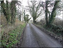 H5173 : Killycurragh Road by Kenneth  Allen