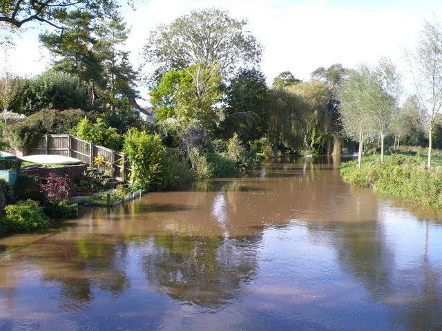 River Stour at Spetisbury
