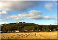 Fields near the railway line