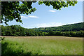 Farmland south-west of Bwlch-Llan, Ceredigion