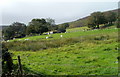 Upland grazing land north of Upper Cwmbran