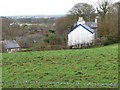 Houses on the eastern edge of Bontnewydd