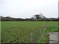 Sheep pasture, north of Bronant Farm