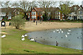 A corner of Alexandra Lake