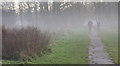TQ3299 : Through the Mist, Whitewebbs Park, Enfield by Christine Matthews