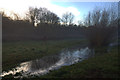 Mist Rising in Whitewebbs Park, Enfield