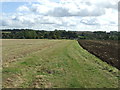 Footpath To Steeple Bumpstead