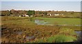 Waterlogged land, Deerhurst Farm