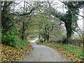 The road to Wythop Mill