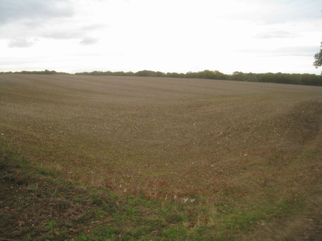 View across Hither Villands Field (37.5 acres)