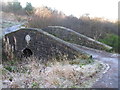 Footbridge in Cathkin Braes Country Park