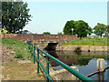 Bridge in Mayesbrook Park