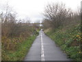 Cycle track and the A19 viaduct