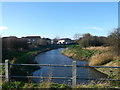 Manorway Drain to Little Thurrock Marshes, Grays (2)