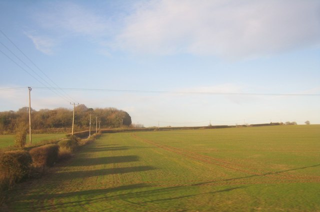 Western edge of Pilverlands Field (42 acres)