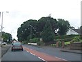 H3633 : Entering the 30mph zone on the A34 on the south side of  Lisnaskea by Eric Jones