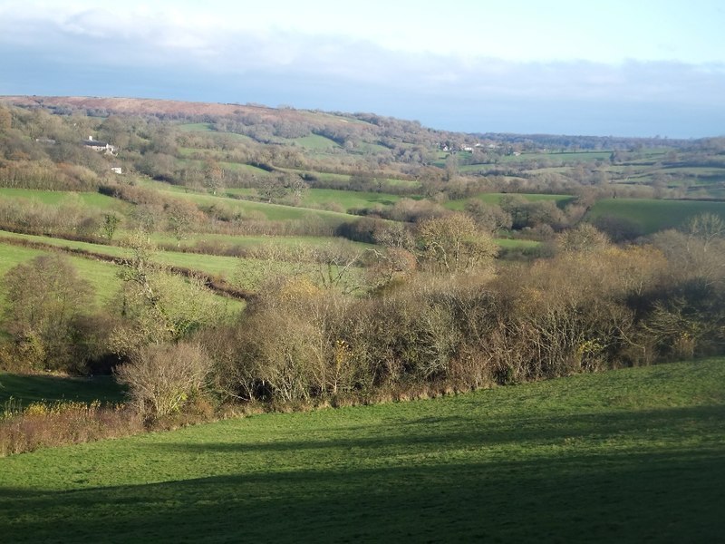 Copse north of Windgate Farm © David Smith cc-by-sa/2.0 :: Geograph ...