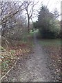 Footpath - The Poplars