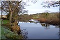 River Wharfe at Winebeck Farm  Addingham