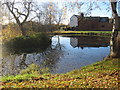 Pond at Stockwell Heath