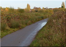 SK6009 : Path across the Watermead Country Park by Mat Fascione