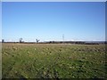 Fields near Aldby Field House