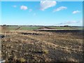 Site of Former Opencast Workings near Arkwright