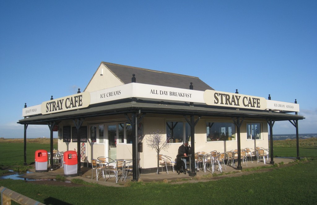 the stray cafe download