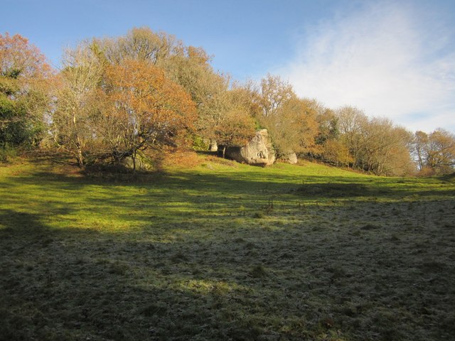Meadow with boulders, Lustleigh