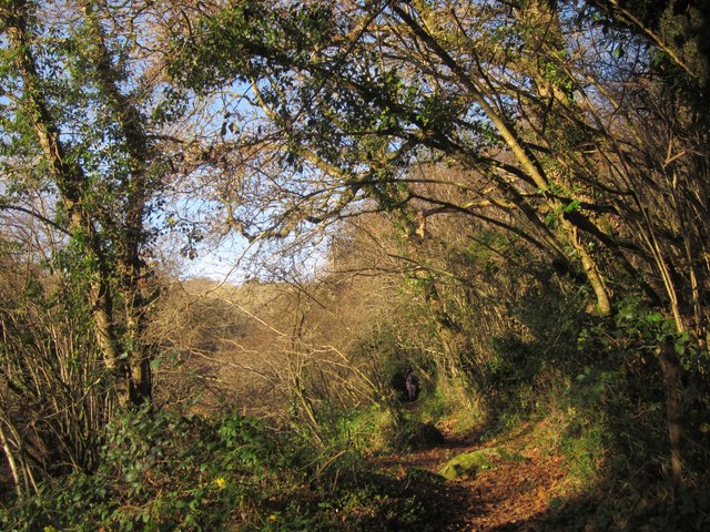 Footpath to Lower Combe