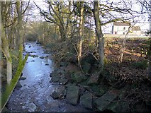 NY9357 : Devil's Water near Redlead Mill by Andrew Curtis
